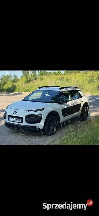 Obraz 2/4