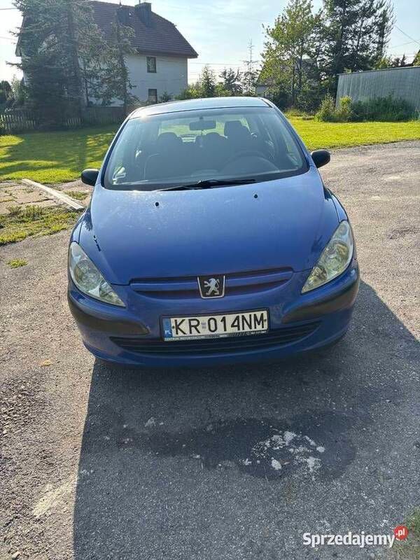 Używany 2002 Peugeot 307 | 6000 zł (Uczciwa cena) - Obraz 1/3