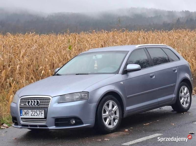 Używany 2004 Audi A3 Premium Sedan/Limuzyna | 13 900 zł (Dość drogi) - Obraz 1/4