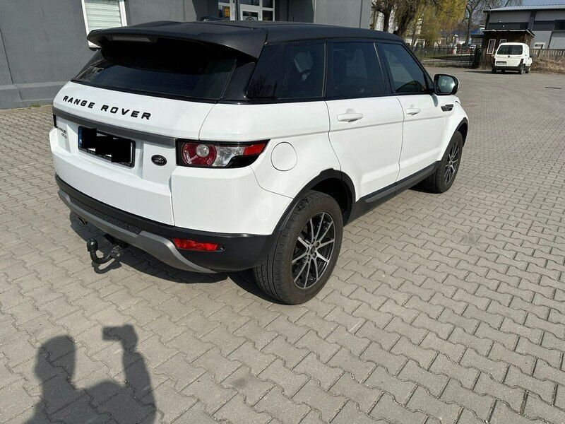 Obraz 4