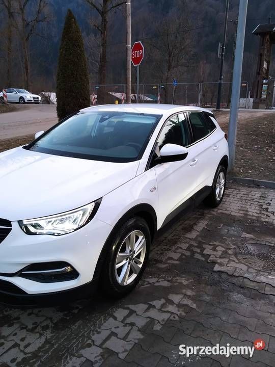 Używany 2020 Opel Grandland X SUV | 49 900 zł - Obraz 1/4
