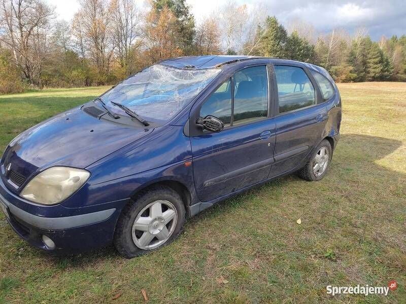 Używany Renault Scénic 2002 Minivan