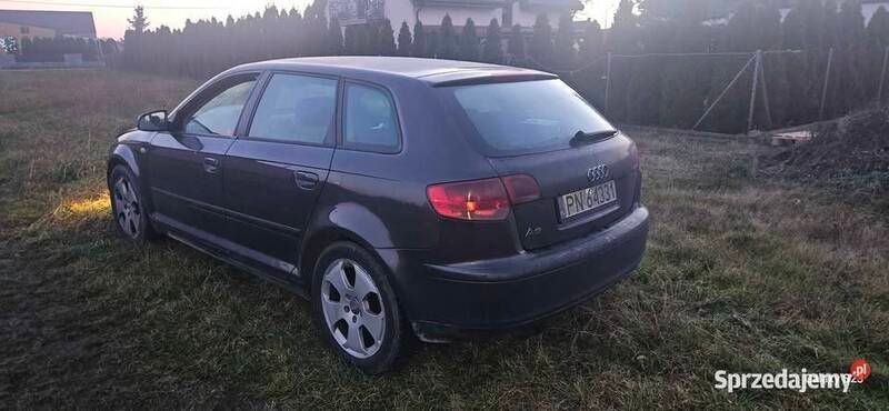 Używany 2007 Audi A3 | 7000 zł (Super Cena) - Obraz 1/4