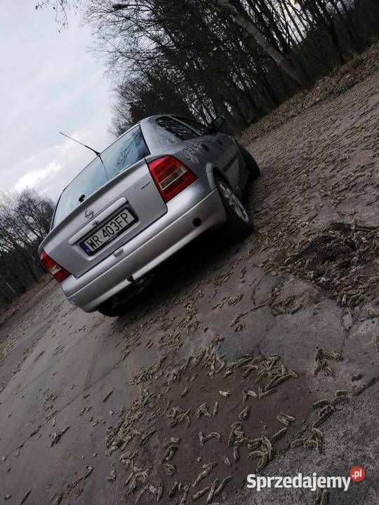 Obraz 2/3
