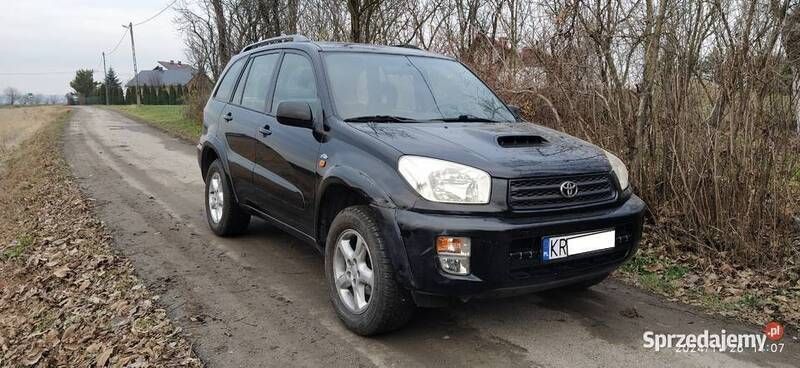 Używany 2003 Toyota RAV4 SUV | 18 900 zł (Dość drogi) - Obraz 1/4
