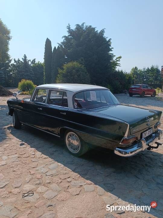Używany 1964 Mercedes 190 | 99 000 zł - Obraz 1/4