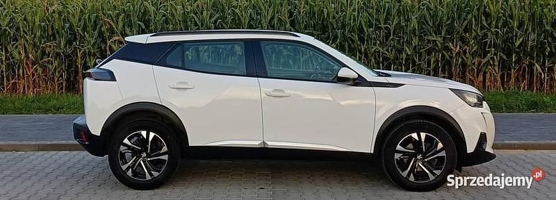 Biały Używany 2020 Peugeot 2008 SUV | 61 900 zł (Drogi) - Obraz 1/4