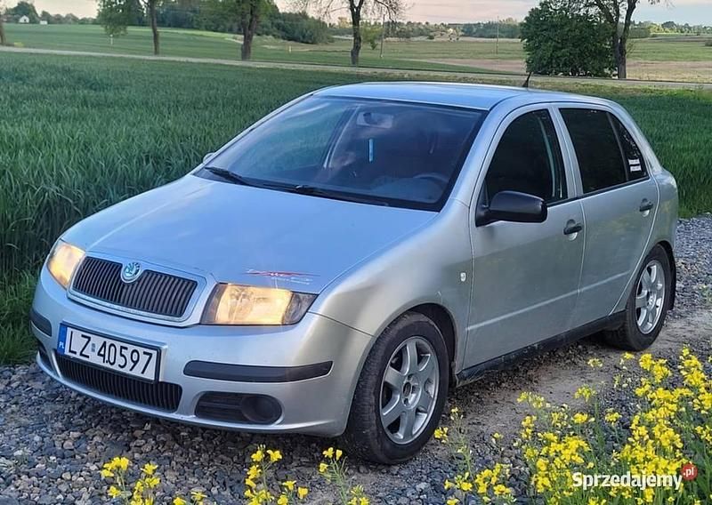 Srebrny Używany 2006 Skoda Fabia Hatchback | 5600 zł (Drogi) - Obraz 1/3