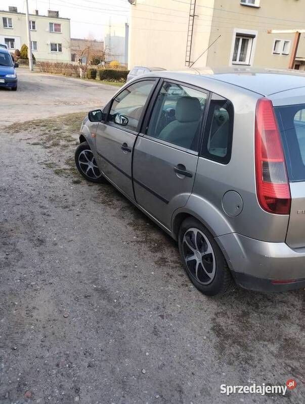 Obraz 4/4