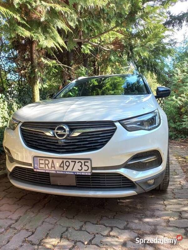 Używany 2018 Opel Grandland X SUV | 43 000 zł (Uczciwa cena) - Obraz 1/4