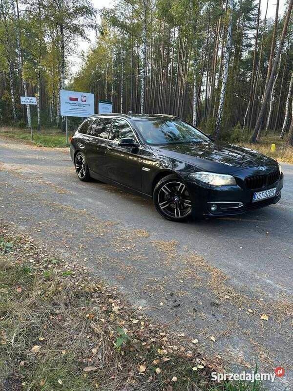 Używany 2013 BMW 520 Luxury Line | 52 900 zł (Uczciwa cena) - Obraz 1/4