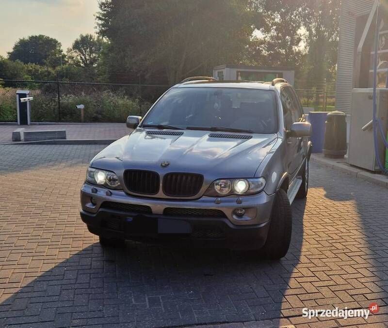 Szary Używany 2006 BMW X5 SUV | 27 500 zł (Dobra cena) - Obraz 1/4