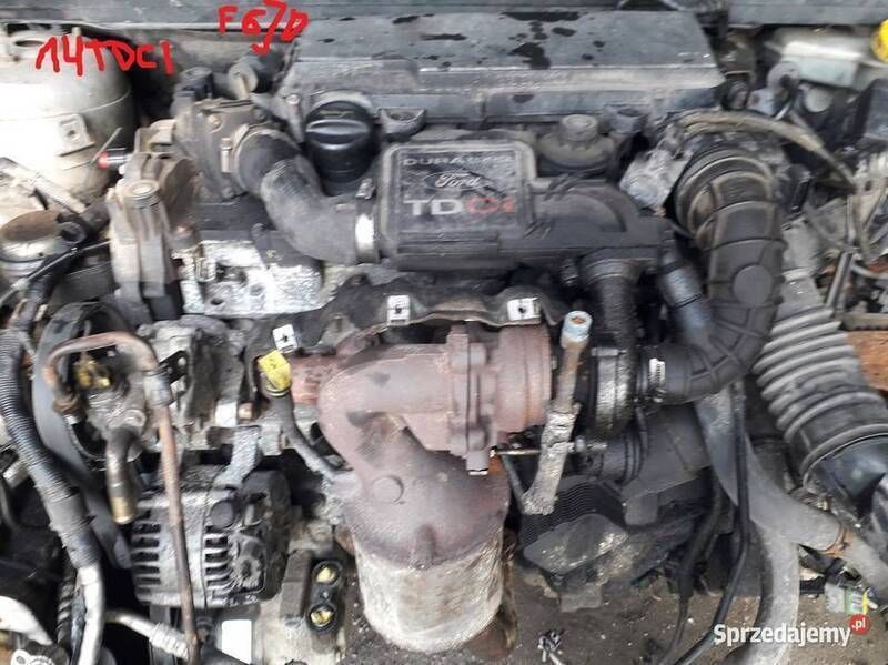 Używany Ford Fiesta 68 KM (50 kW) 2002 Hatchback