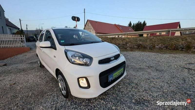 Używany Kia Picanto 67 KM (49 kW) 2016 Biały Hatchback