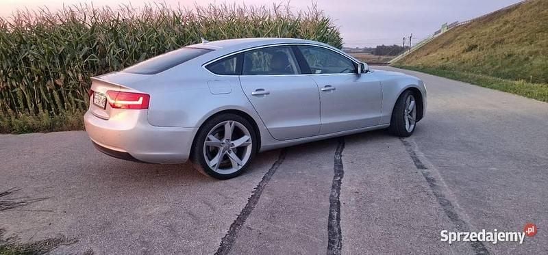 Używany 2012 Audi A5 Sportback Coupe | 59 900 zł - Obraz 1/4