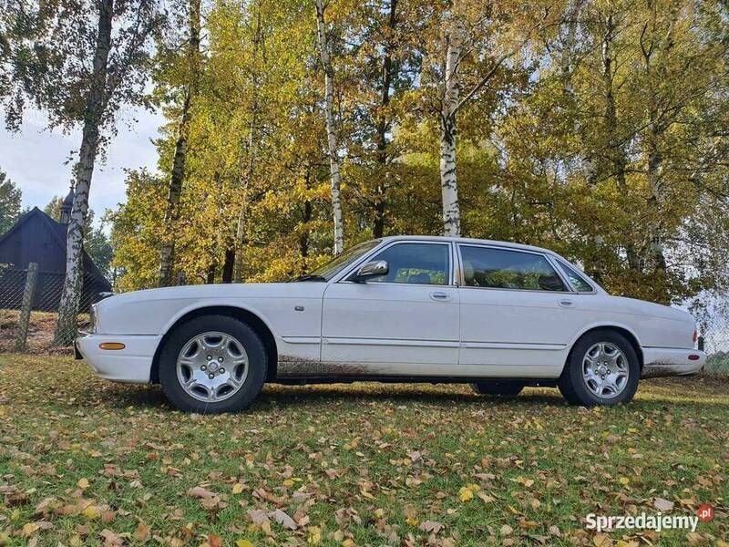 Używany Jaguar XJ 2003 Biały Sedan/Limuzyna