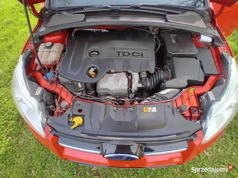 Używany Ford Focus 2014 Czerwony Hatchback