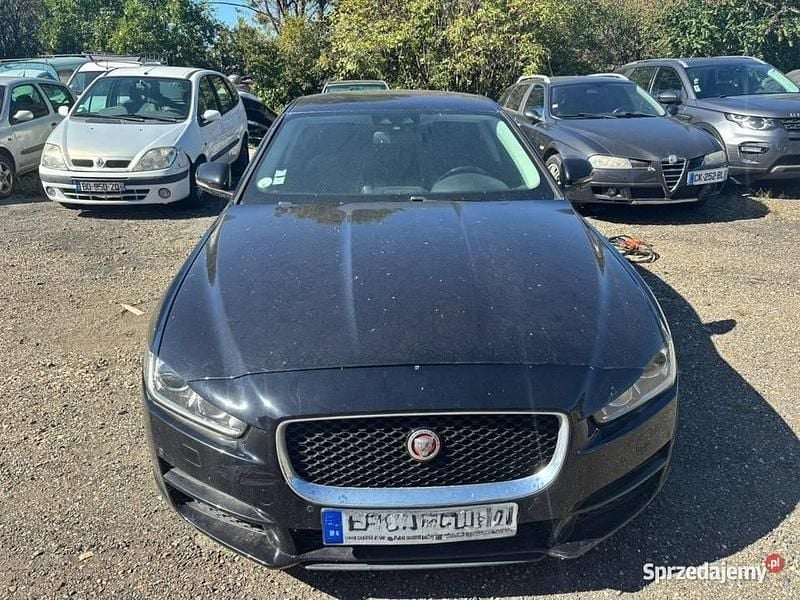 Używany Jaguar XE 2016 Sedan/Limuzyna