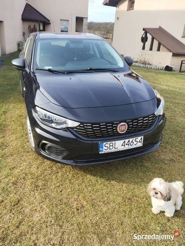 Czarny Używany 2017 Fiat Tipo Hatchback | 40 500 zł (Uczciwa cena) - Obraz 1/4