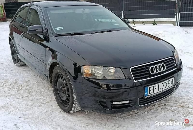 Czarny Używany 2003 Audi A3 Hatchback | 11 999 zł (Drogi) - Obraz 1/4