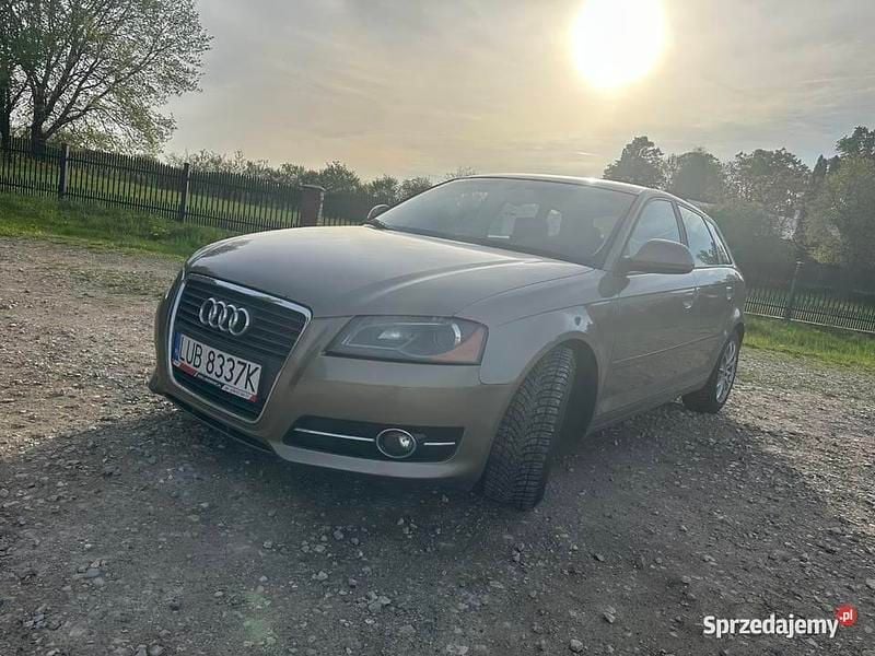 Beżowy Używany 2008 Audi A3 Hatchback | 17 500 zł (Uczciwa cena) - Obraz 1/4