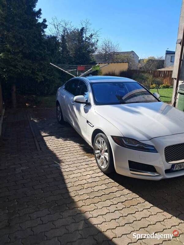 Używany 2016 Jaguar XF Sedan/Limuzyna | 105 000 zł (Drogi) - Obraz 1/4