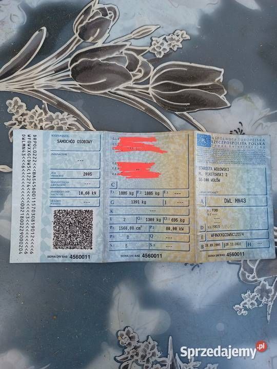 Używany 2005 Ford Focus | 3500 zł (Uczciwa cena) - Obraz 1/4