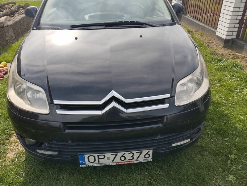 Obraz 3/4