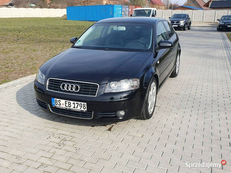 Czarny (metalik) Używany 2004 Audi A3 Hatchback | 8999 zł (Uczciwa cena) - Obraz 1/4