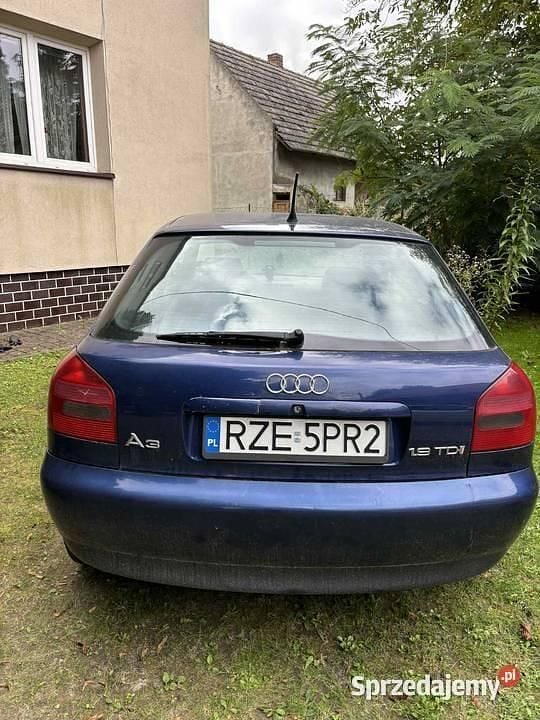 Używany 2000 Audi A3 | 2100 zł (Dobra cena) - Obraz 1/4