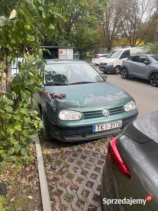 Obraz 3/3