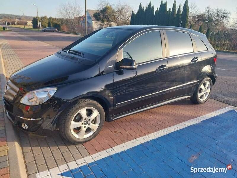 Obraz 3