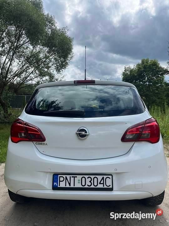 Obraz 4/4