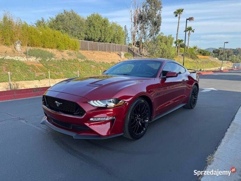 Używany 2019 Ford Mustang GT | 100 000 zł - Obraz 1/3