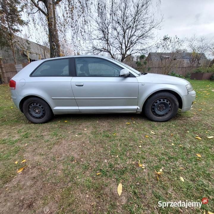 Używany 2004 Audi A3 | 7500 zł (Uczciwa cena) - Obraz 1/4