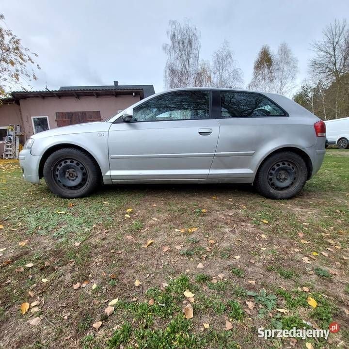 Obraz 3