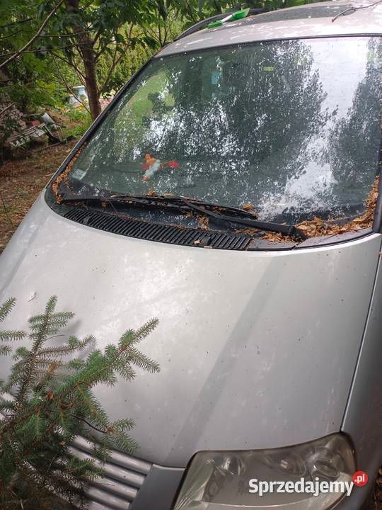 Używany 2000 VW Sharan Minivan | 2200 zł (Super Cena) - Obraz 1/4