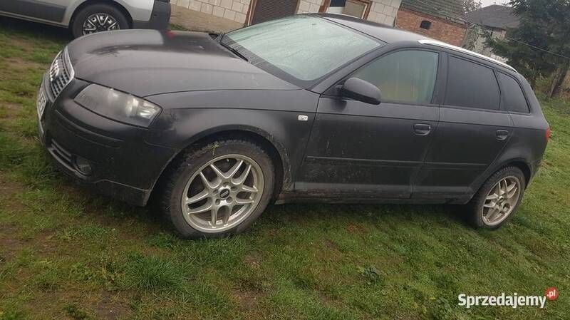 Używany 2008 Audi A3 | 20 000 zł - Obraz 1/1