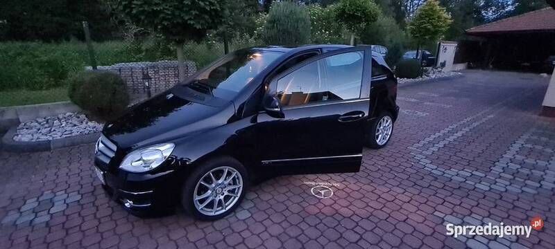 Obraz 2/4