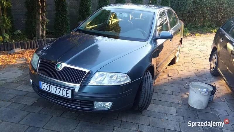 Szary Używany 2004 Skoda Octavia Hatchback | 5900 zł (Uczciwa cena) - Obraz 1/4