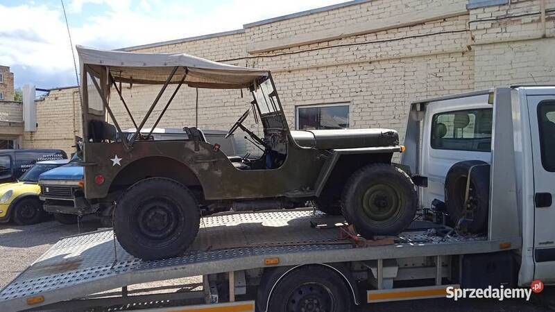 Używany 1950 Jeep Willys | 100 000 zł - Obraz 1/4