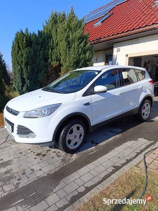 Używany Ford Kuga 2015 Biały SUV