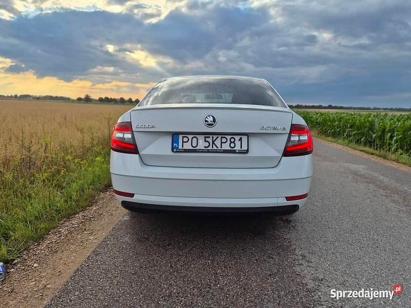 Używany Skoda Octavia 150 KM (110 kW) 2019 Biały Sedan/Limuzyna