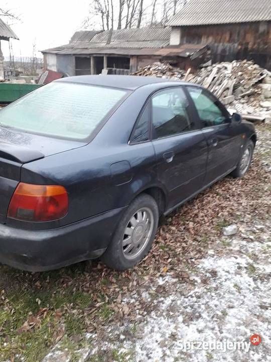 Obraz 3/3