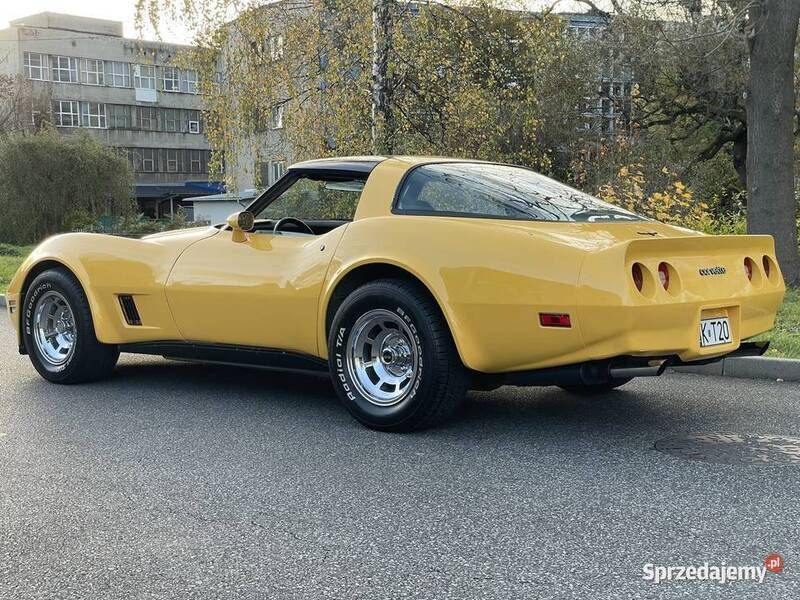 Używany 1981 Corvette Stingray | 119 000 zł - Obraz 1/4