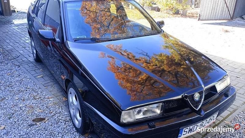 Używany 1994 Alfa Romeo 155 Sedan/Limuzyna | 18 500 zł - Obraz 1/4