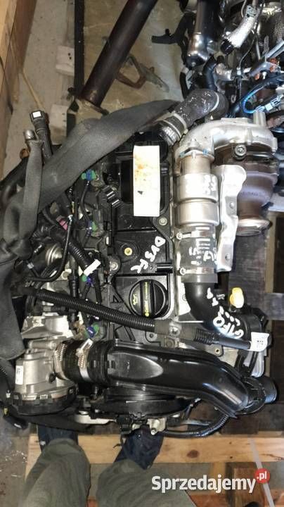 Pomarańczowy Używany 2013 Ford Ranger Wildtrack Pickup | 15 000 zł - Obraz 1/4