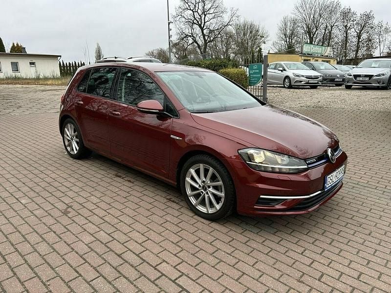 Używany VW Golf VII LOUNGE 130 KM (95 kW) 2019 Czerwony Hatchback
