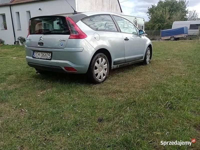 Obraz 3/4