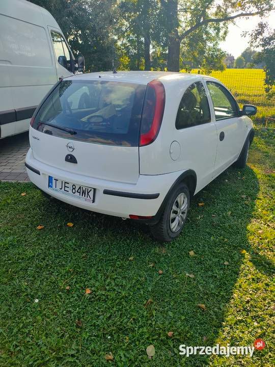 Obraz 2/4